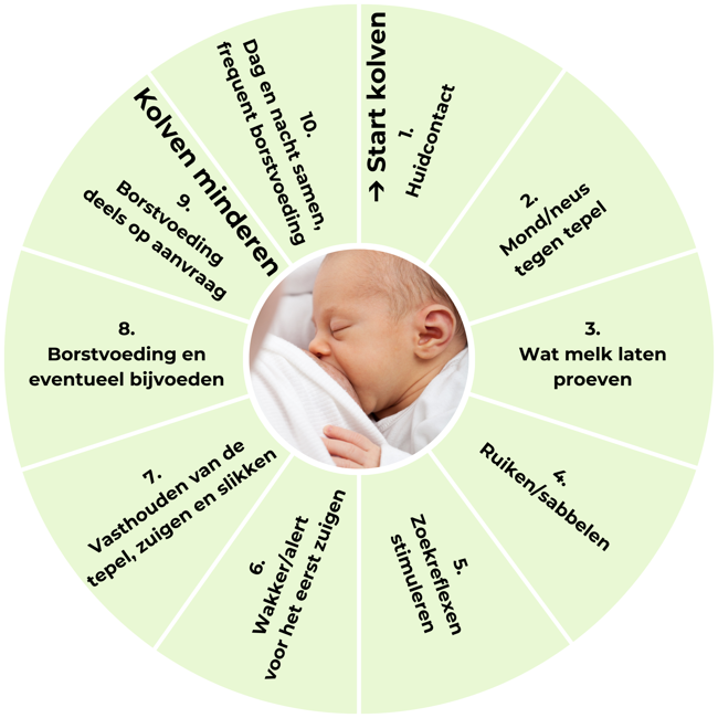 10 stappenplan borstvoeding op de afdeling Neonatologie
